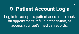 Patient Account Login, Ambler